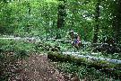 gal/Saison VTT 2008/Championnat_Lorraine_Algrange_Adultes_15_juin_2008/_thb_IMG_2493.JPG